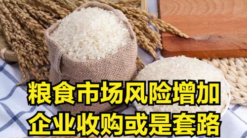 小麦政策调控下的市场风险与企业收购策略分析