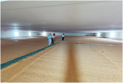 农发行茂名市分行4.33亿粮食储备，牢牢守住‘三农’后院，保障粮食收购安全