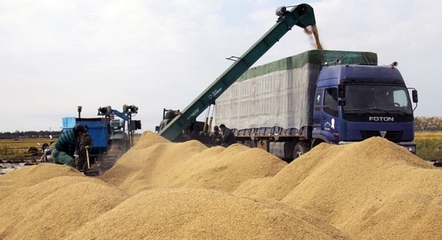 赤峰林东粮食收购站 初级农产品收购服务与联系方式