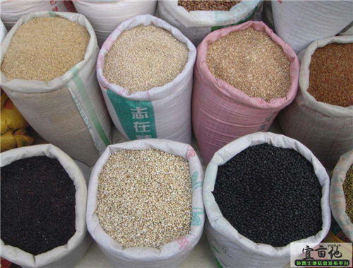 2018年秋粮收购政策变化及价格趋势解析