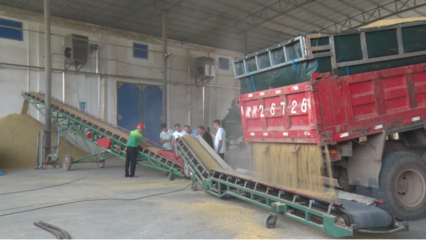 祁阳多措并举保障农民“舒心粮 放心粮” 初级农产品收购服务全面升级