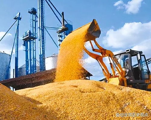 粮食收购 中国战略储备背后的全球布局与西方警觉